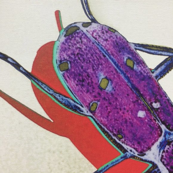 Tiger Beetle - Original Wall Art print on 12 x 12 canvas - Picture 5 of 6